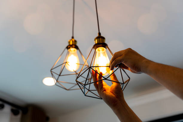 Best Electrician for Home Renovation  in Ocklawaha, FL